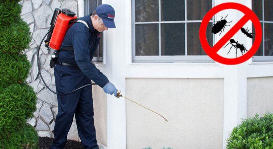 Pazarlar Akrep İlaçlama böcek ilaçlama ve haşere kontrolü — ilaclama-tr.com